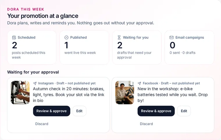 Real “Dora this week” overview in the mekyn dashboard with two posts waiting for approval (example data)